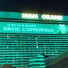 MGM Grand Hotel & Casino