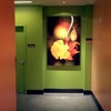 Canyon Ranch Spa Club