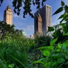 Central Park