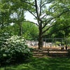 Central Park