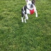 Dolores Park