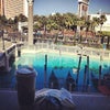 The Palazzo Las Vegas