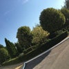 Фото Яр Отель