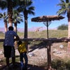 The Living Desert