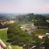 The Getty
