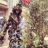 The Palazzo Las Vegas