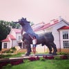 Фото Яр Отель