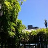 Cafe Flore