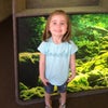Las Vegas Natural History Museum