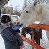 Фото Комсомольский