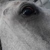 Фото Яр Отель