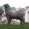 Фото Яр Отель
