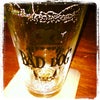 Bad Dog
