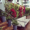 Mondrian Hotel