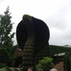 Atlanta Botanical Gardens