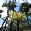 Honolulu International Airport