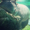 San Diego Zoo