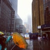 Madison Square Garden