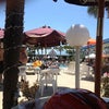 Flamingo Resort