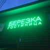 Фото Березка