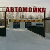 Фото Тикамис