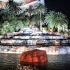 Mirage Hotel and Casino
