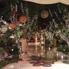 Wynn Resorts
