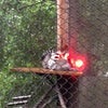 Zoo Atlanta