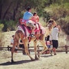 The Living Desert