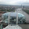The London Eye