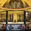 MGM Grand Hotel & Casino