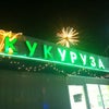 Фото Кукуруза