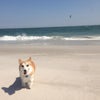 Jones Beach
