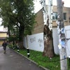 Фото ЮФУ