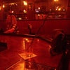 The Jackalope