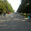Фото Центральный парк