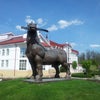 Фото Яр Отель