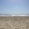 Black's Beach