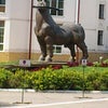 Фото Яр Отель