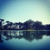 Golden Gate Park