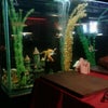 Фото Ассорти