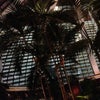 Mirage Hotel and Casino