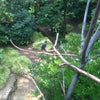 Zoo Atlanta