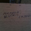 Фото ЮФУ