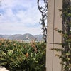The Getty