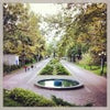 Фото Городской сад