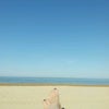 Hollywood Beach