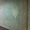 Фото ЮФУ