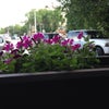 Фото Пить Кофе