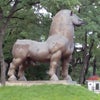 Фото Яр Отель